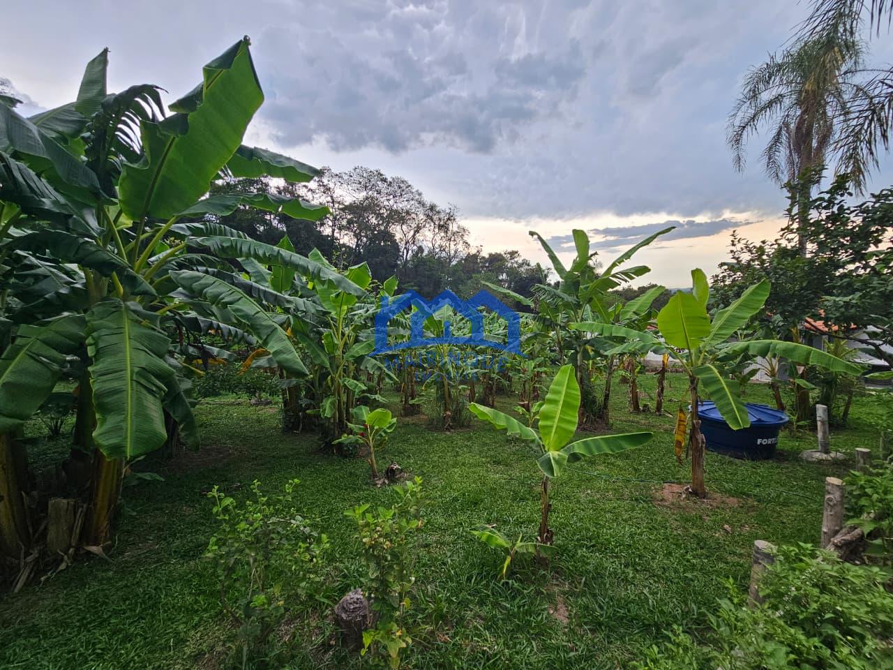 WhatsApp Image 2026-02-13 at 14.24.37