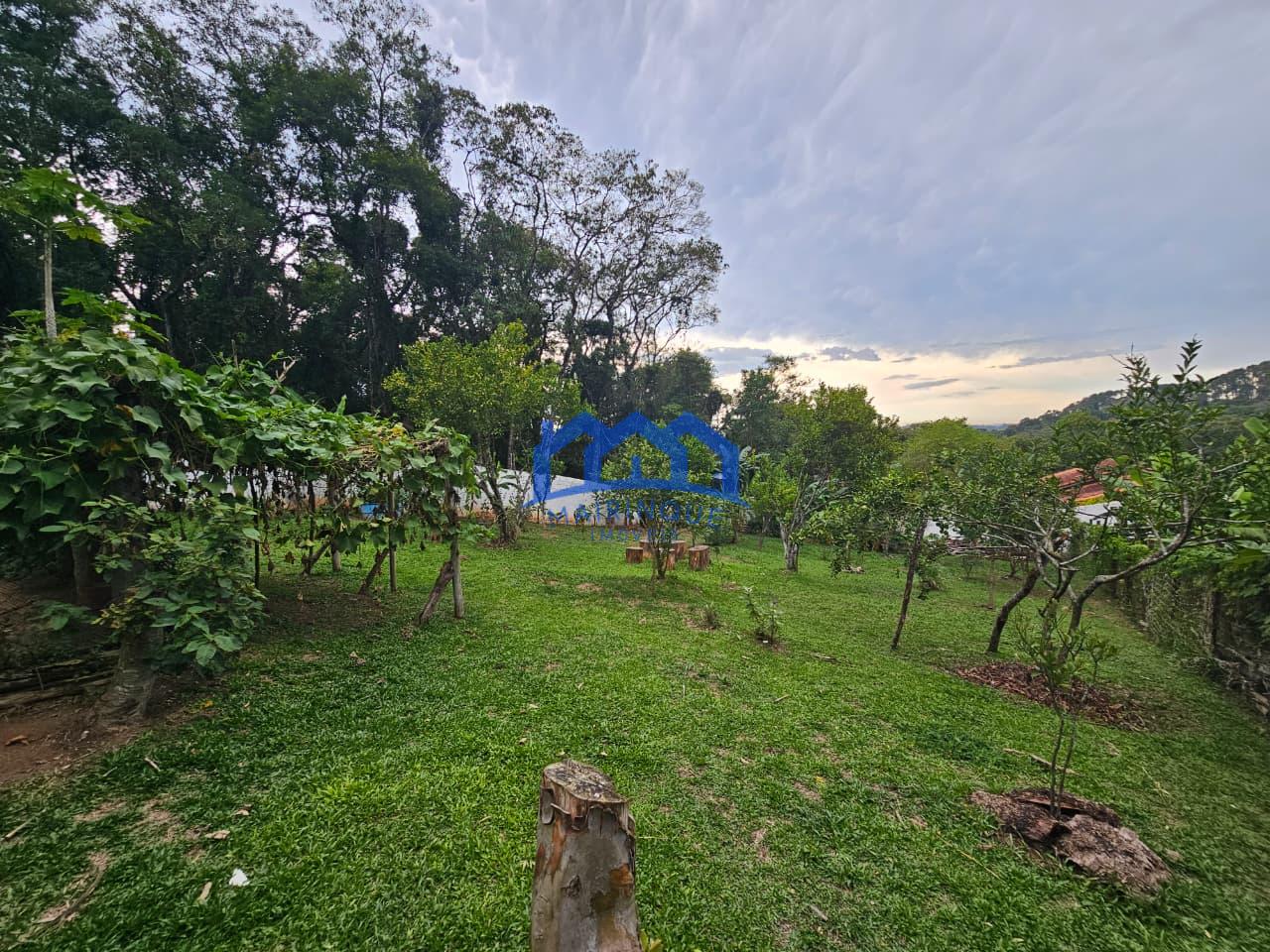 WhatsApp Image 2026-02-13 at 14.24.38