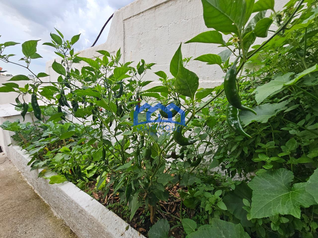 WhatsApp Image 2026-02-13 at 14.24.45