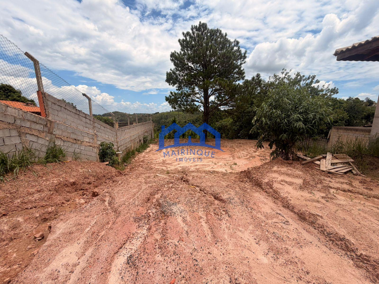 WhatsApp Image 2026-02-19 at 14.47.46