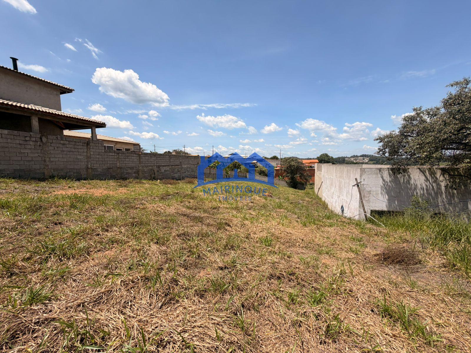 WhatsApp Image 2026-02-20 at 15.42.