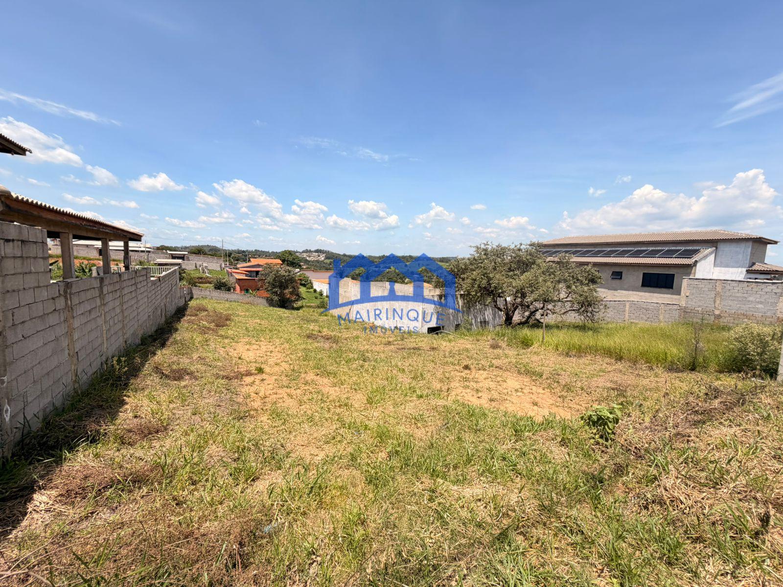 WhatsApp Image 2026-02-20 at 15.42.5