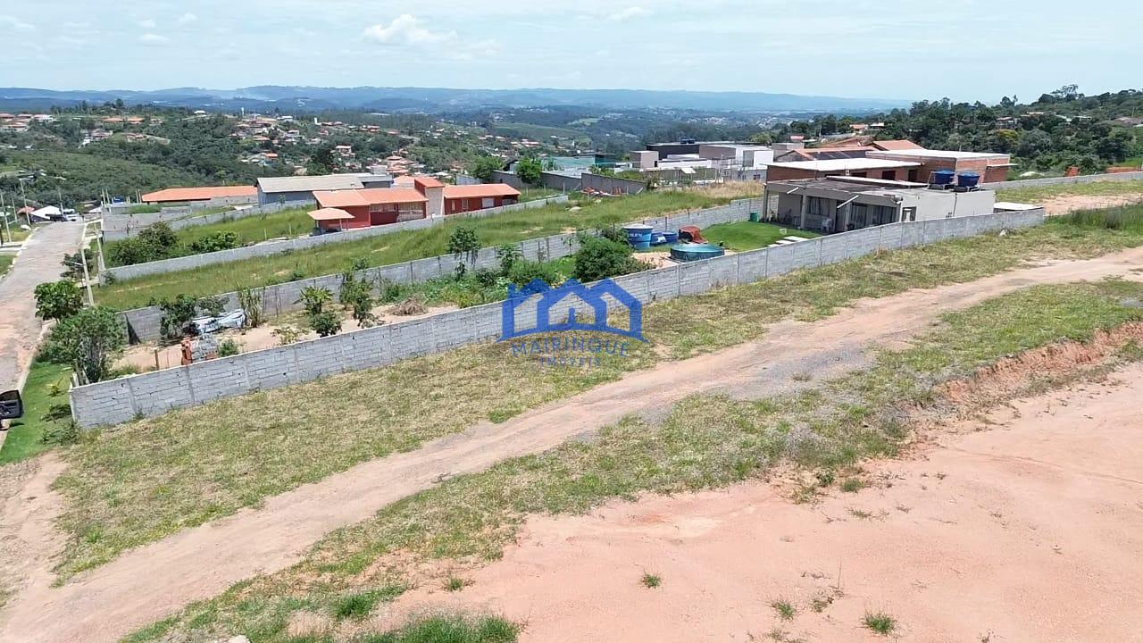 WhatsApp Image 2026-02-20 at 15.46.28