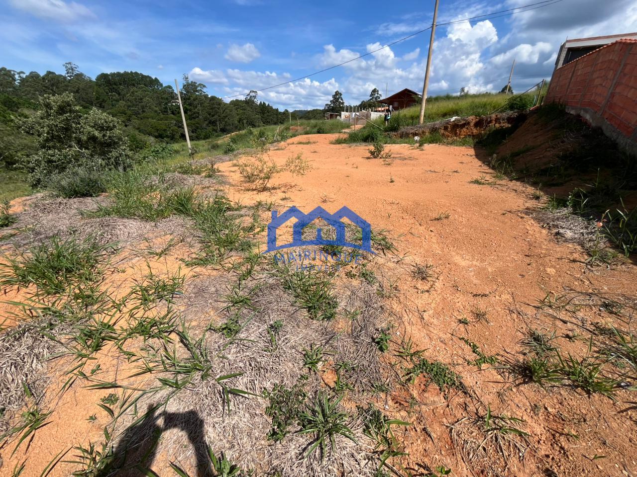 WhatsApp Image 2026-02-20 at 15.48.13