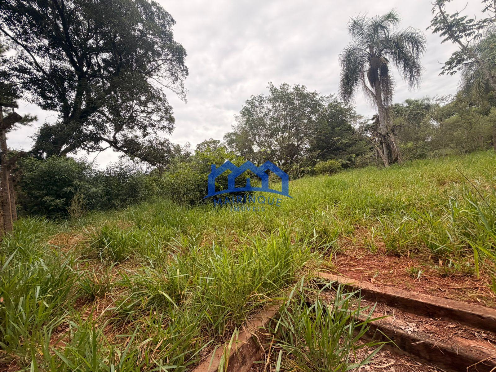 WhatsApp Image 2026-02-20 at 15.58.02 (1)