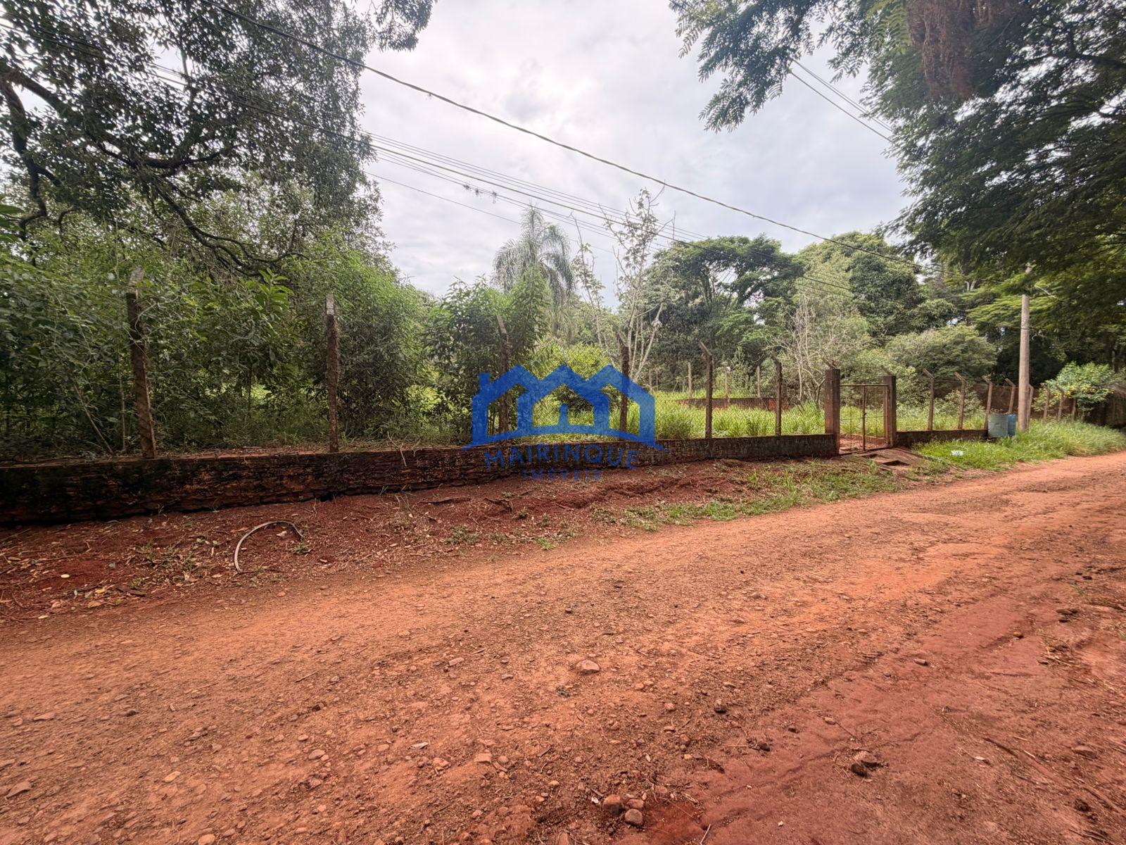 WhatsApp Image 2026-02-20 at 15.58.02