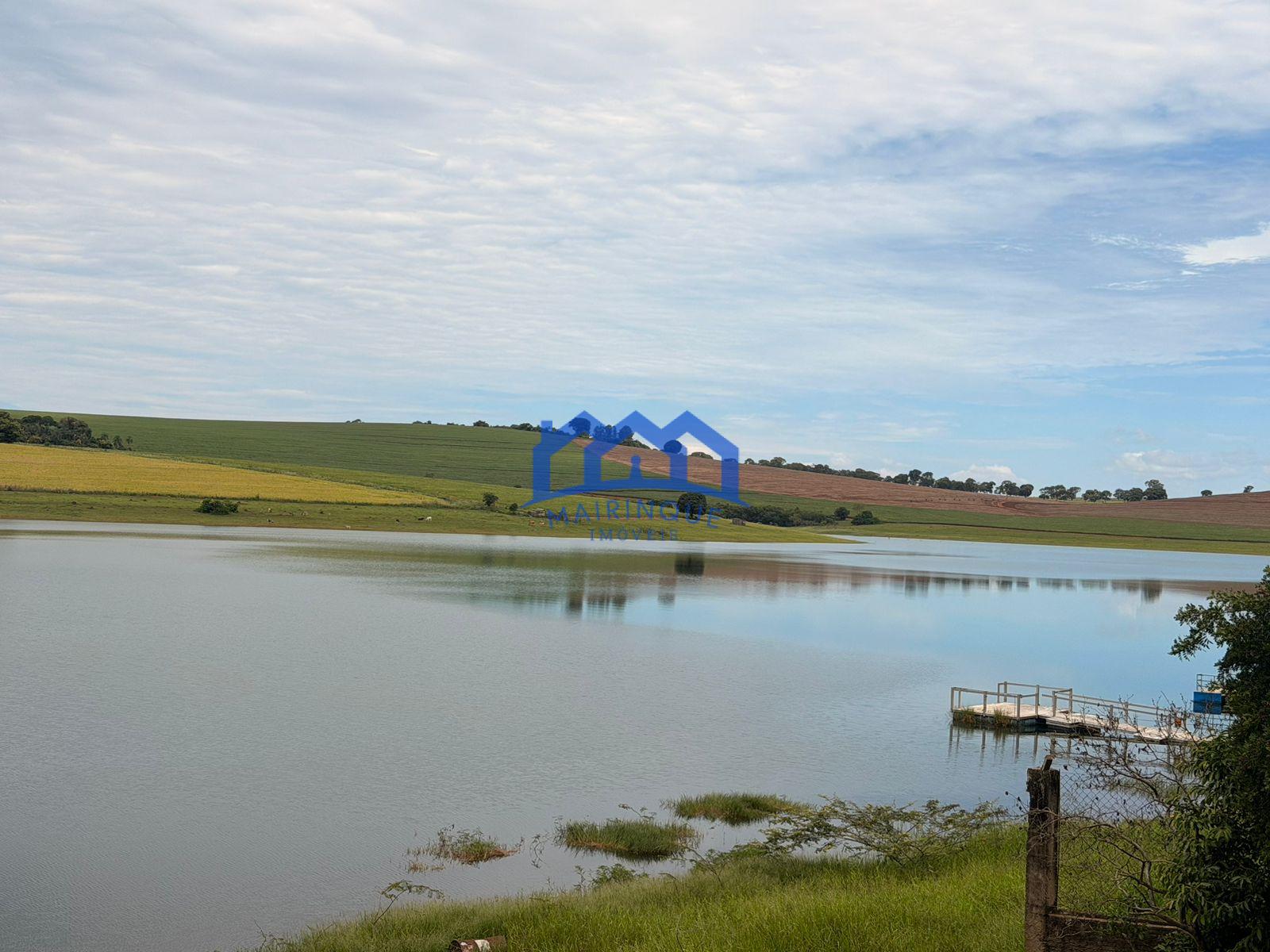 WhatsApp Image 2026-02-20 at 15.58.04