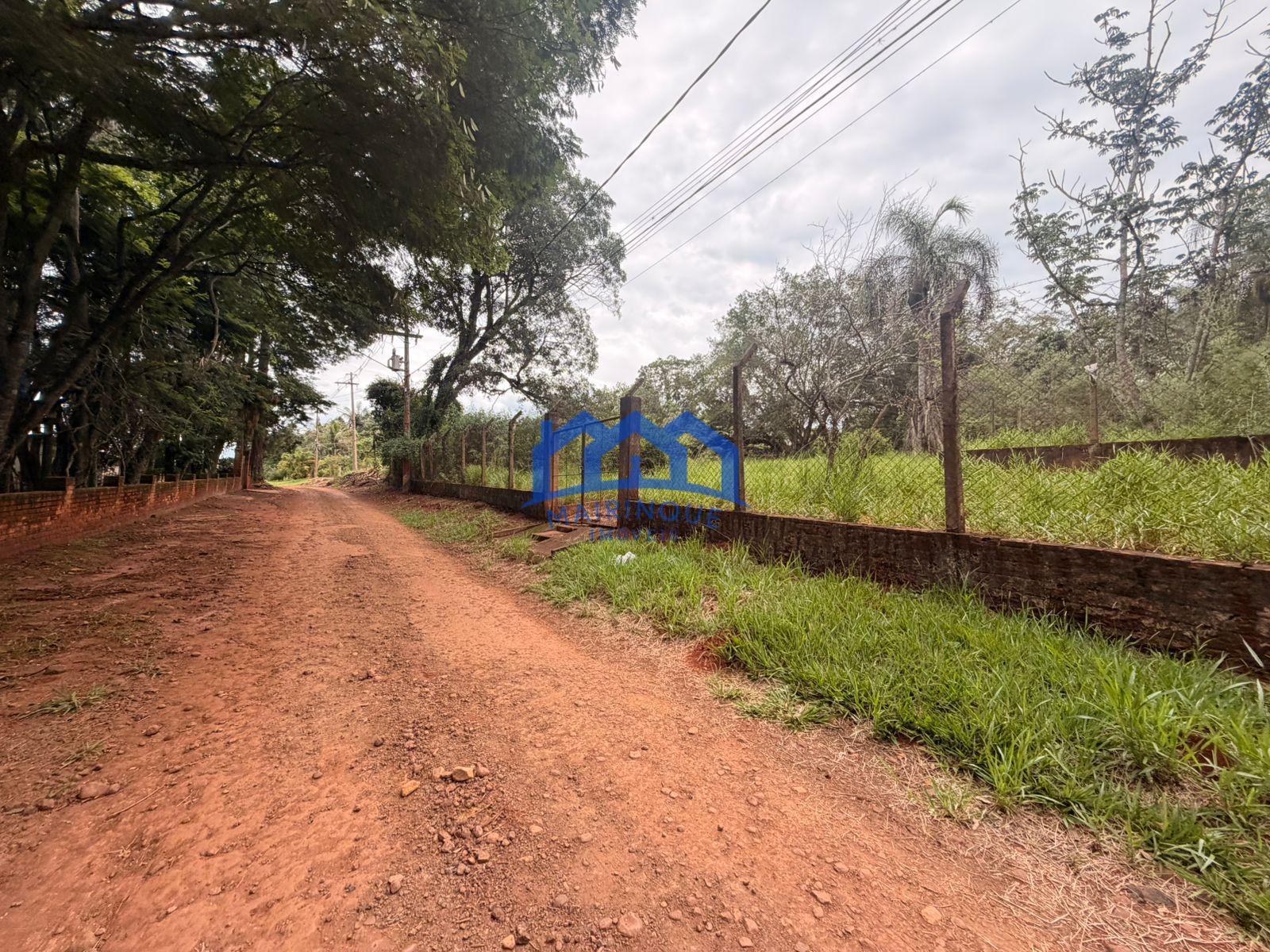 WhatsApp Image 2026-02-20 at 15.58.05