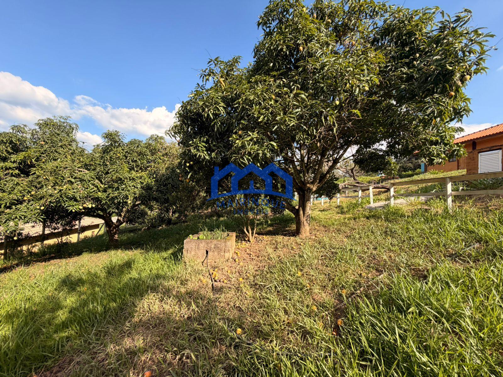 WhatsApp Image 2026-02-21 at 10.26.25 (2)