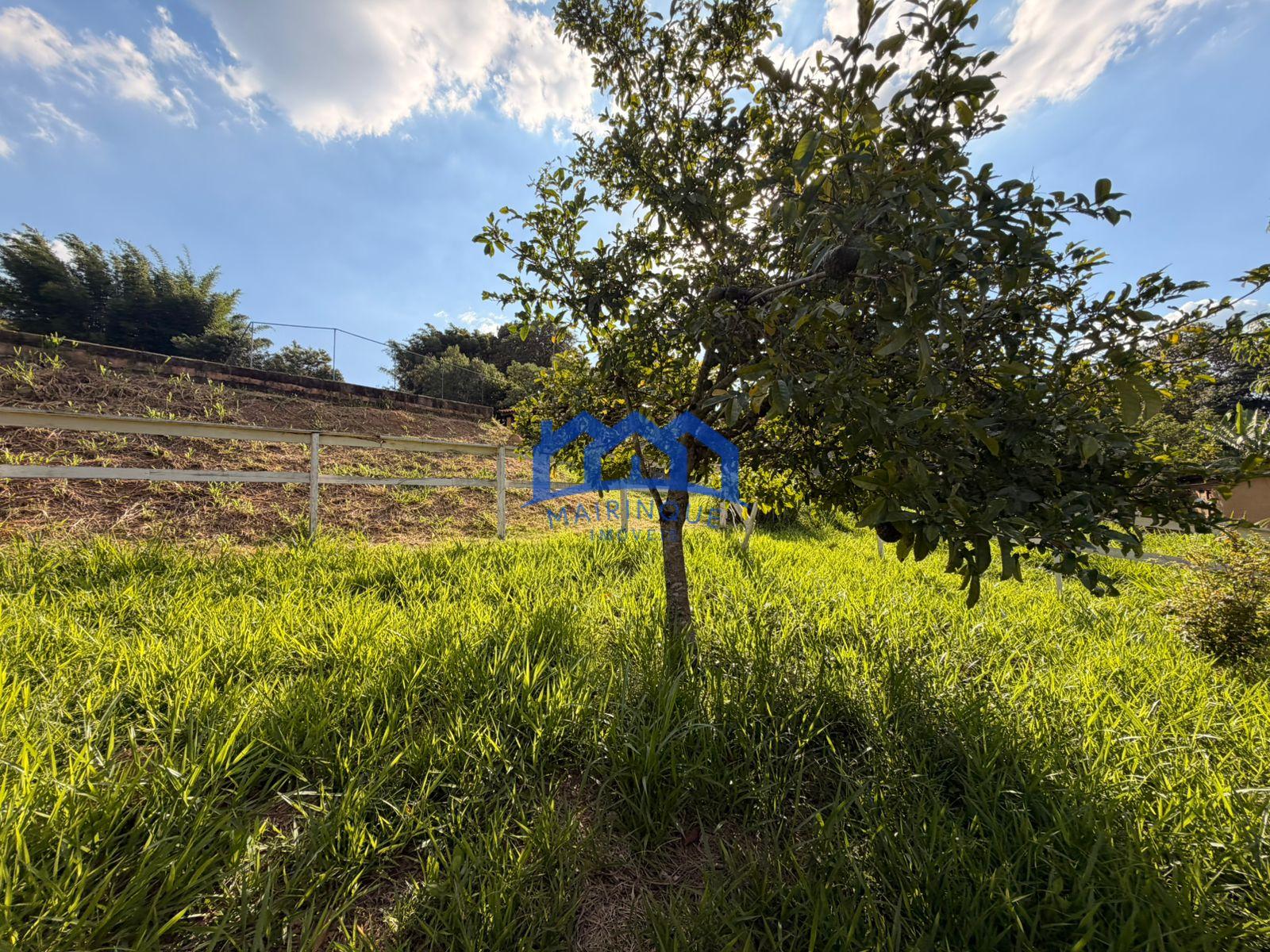 WhatsApp Image 2026-02-21 at 10.26.26 (1)