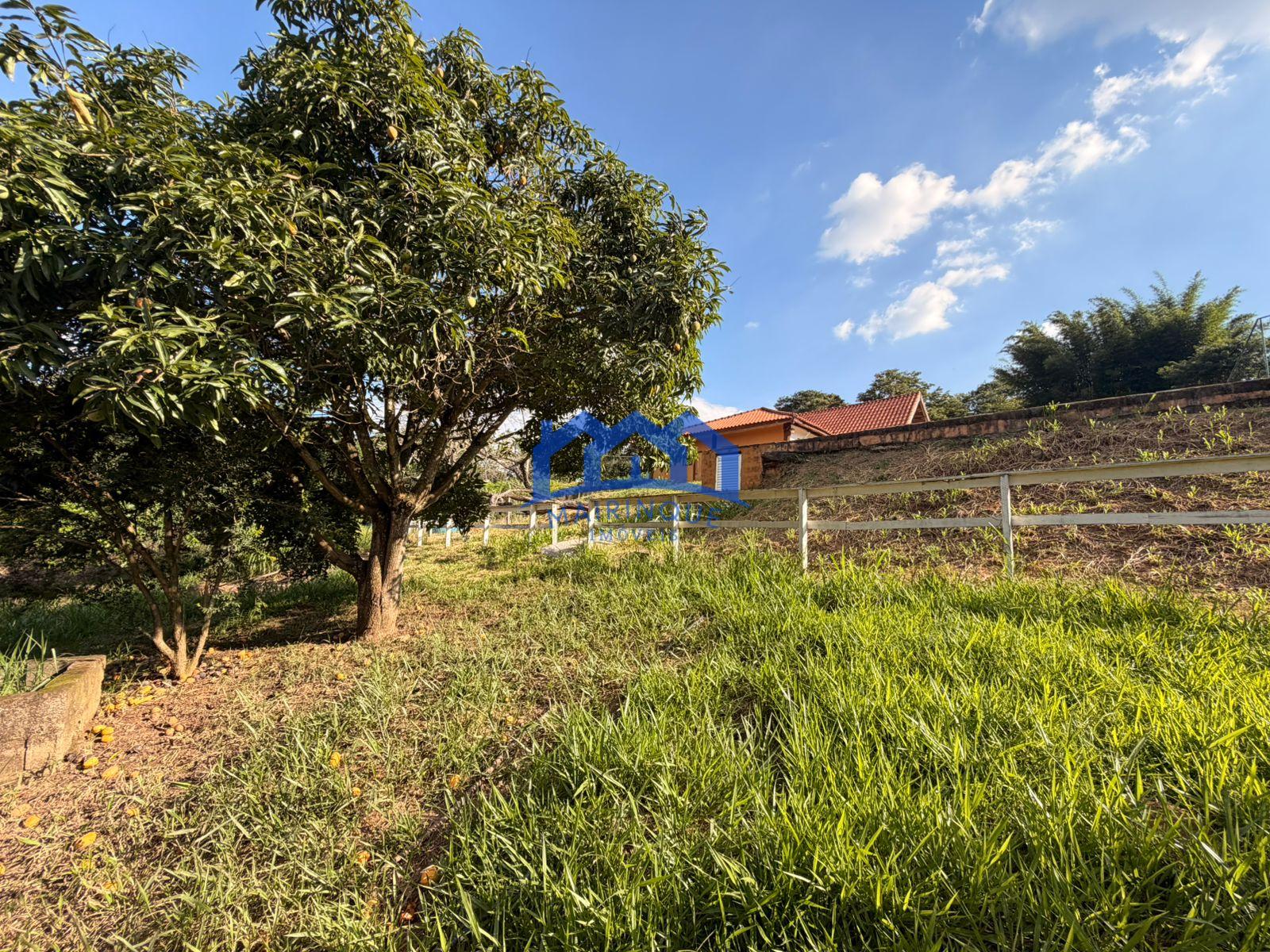 WhatsApp Image 2026-02-21 at 10.26.26