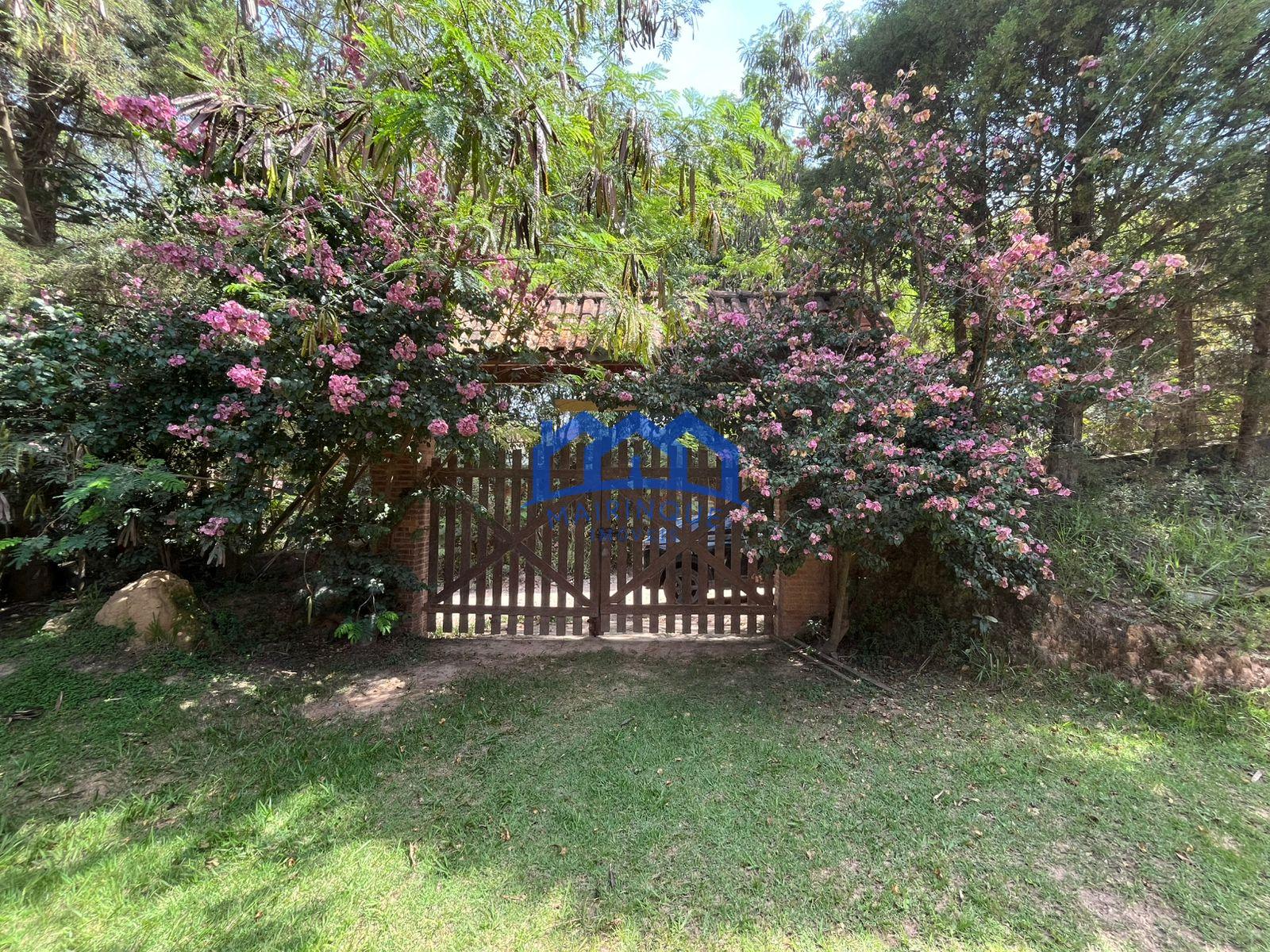 WhatsApp Image 2026-02-24 at 18.16.00