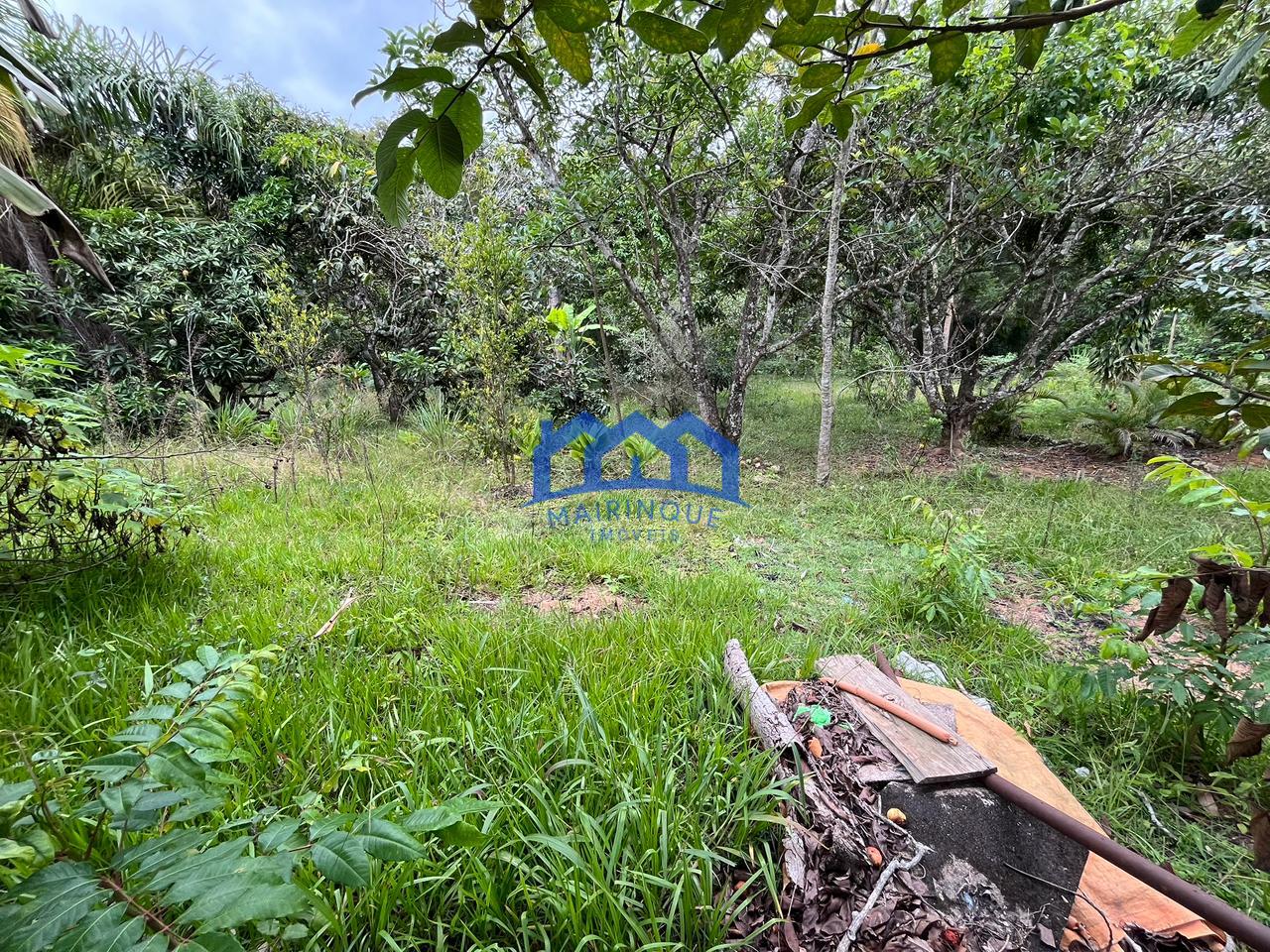 WhatsApp Image 2026-02-26 at 11.28.29