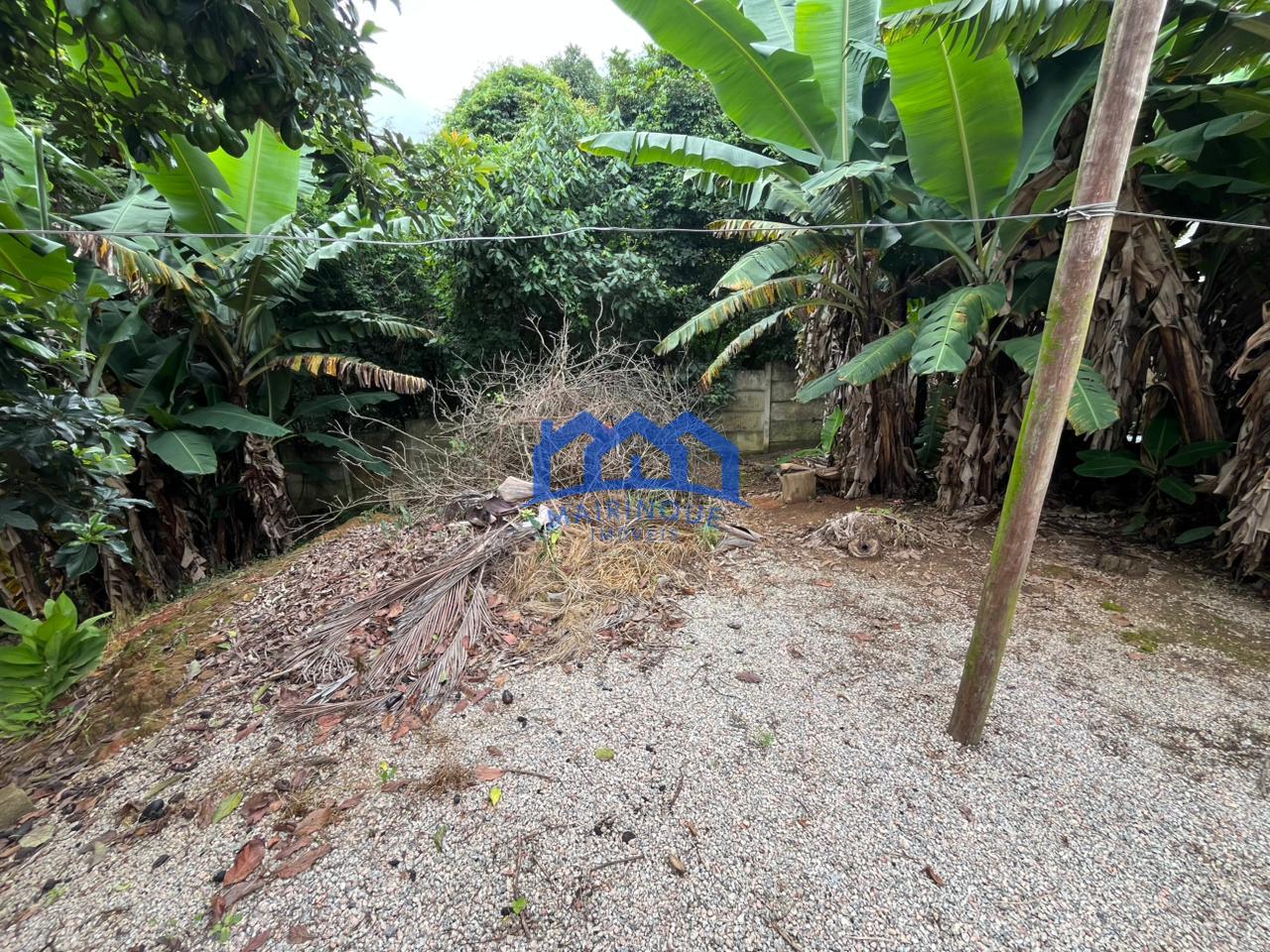 WhatsApp Image 2026-02-26 at 12.06.49 (1)