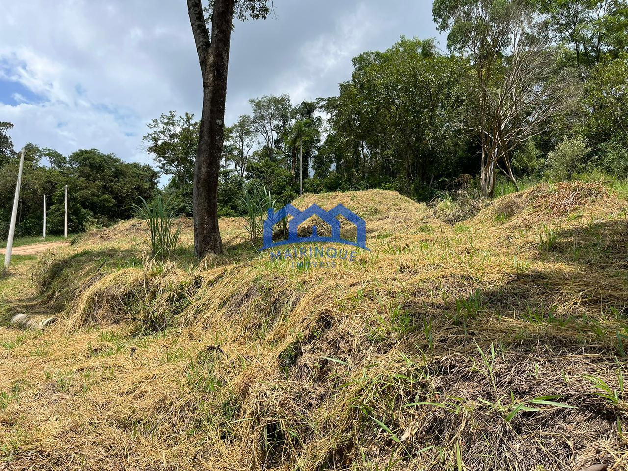 WhatsApp Image 2026-02-26 at 12.11.09 (3)