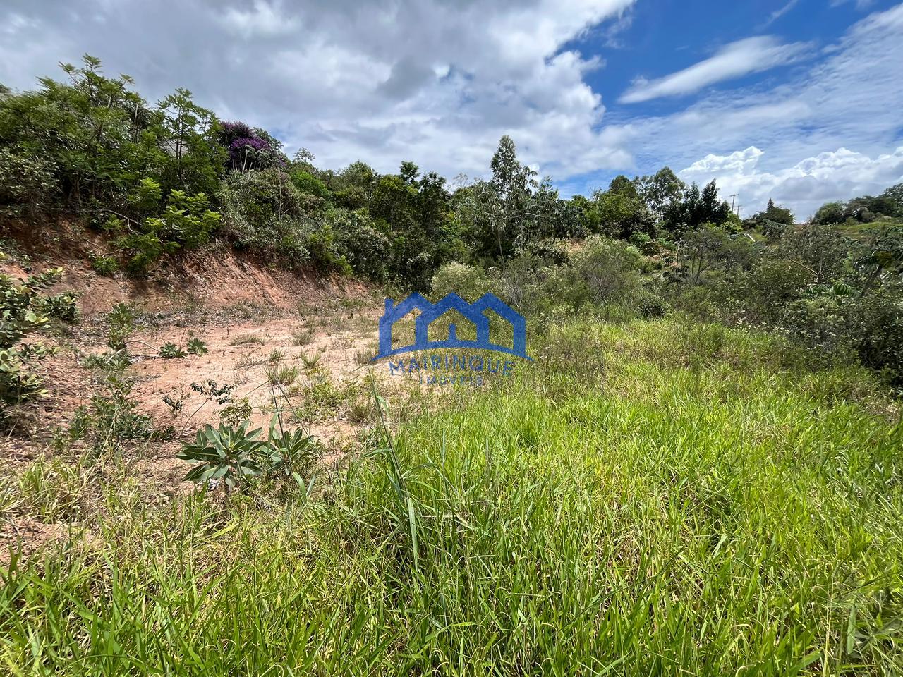 WhatsApp Image 2026-02-26 at 12.23.47 (1)