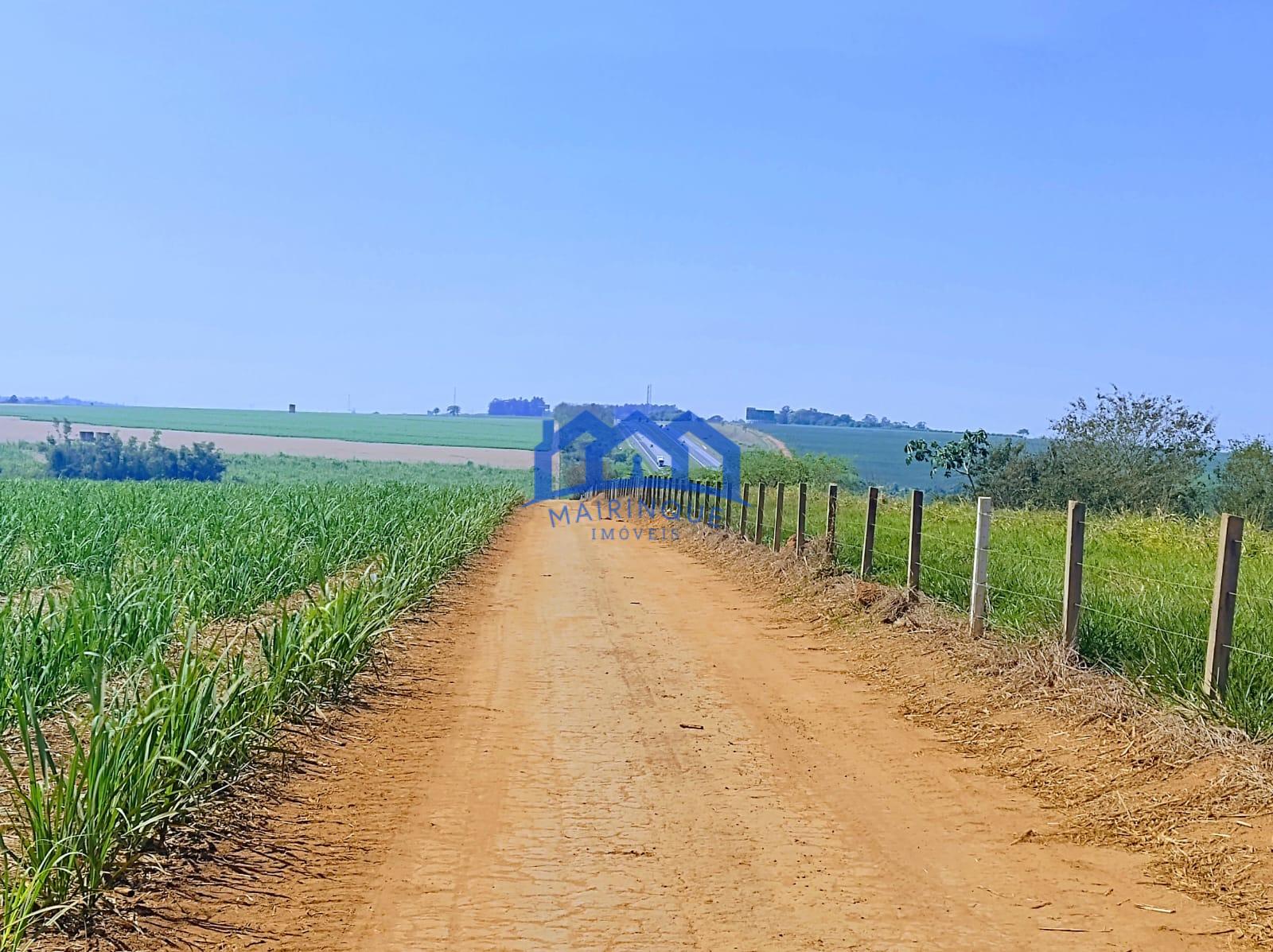 WhatsApp Image 2026-03-03 at 16.03.16