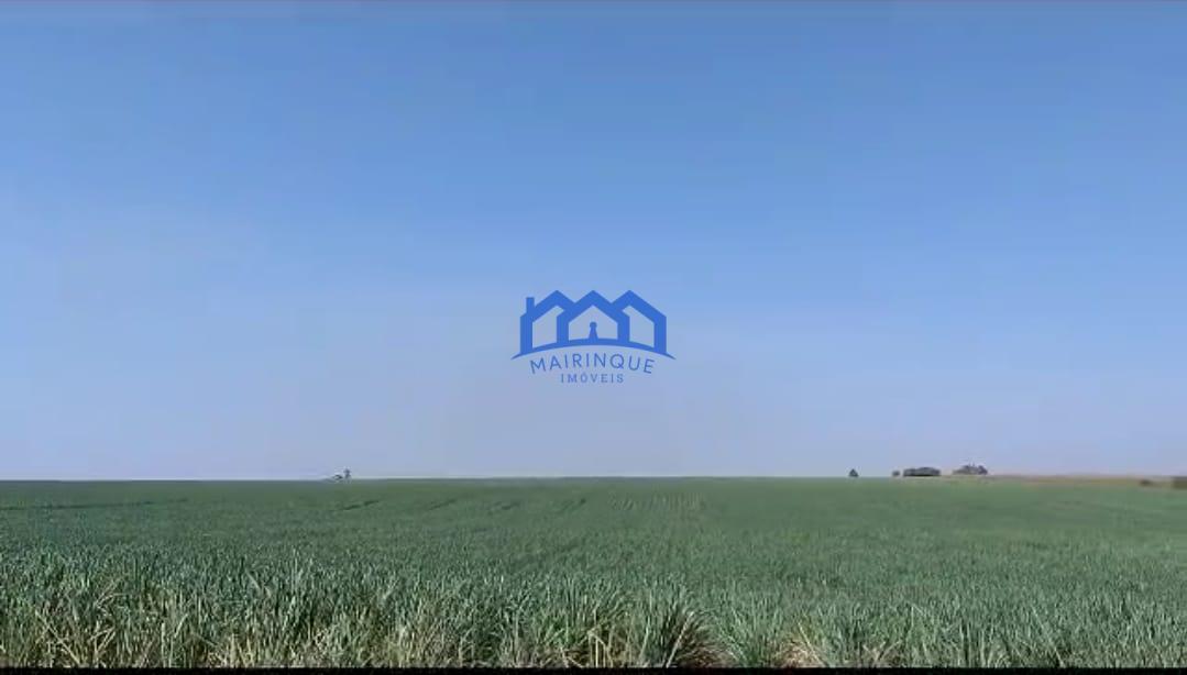 WhatsApp Image 2026-03-03 at 16.03.17 (3)