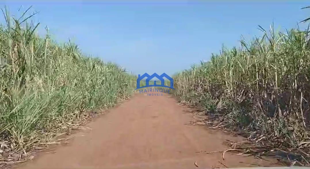 WhatsApp Image 2026-03-03 at 16.03.17 (4)