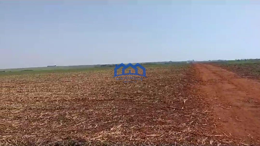 WhatsApp Image 2026-03-03 at 16.03.17