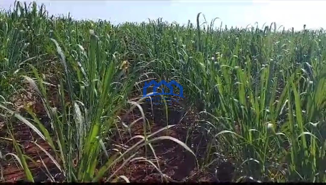 WhatsApp Image 2026-03-03 at 16.03.18