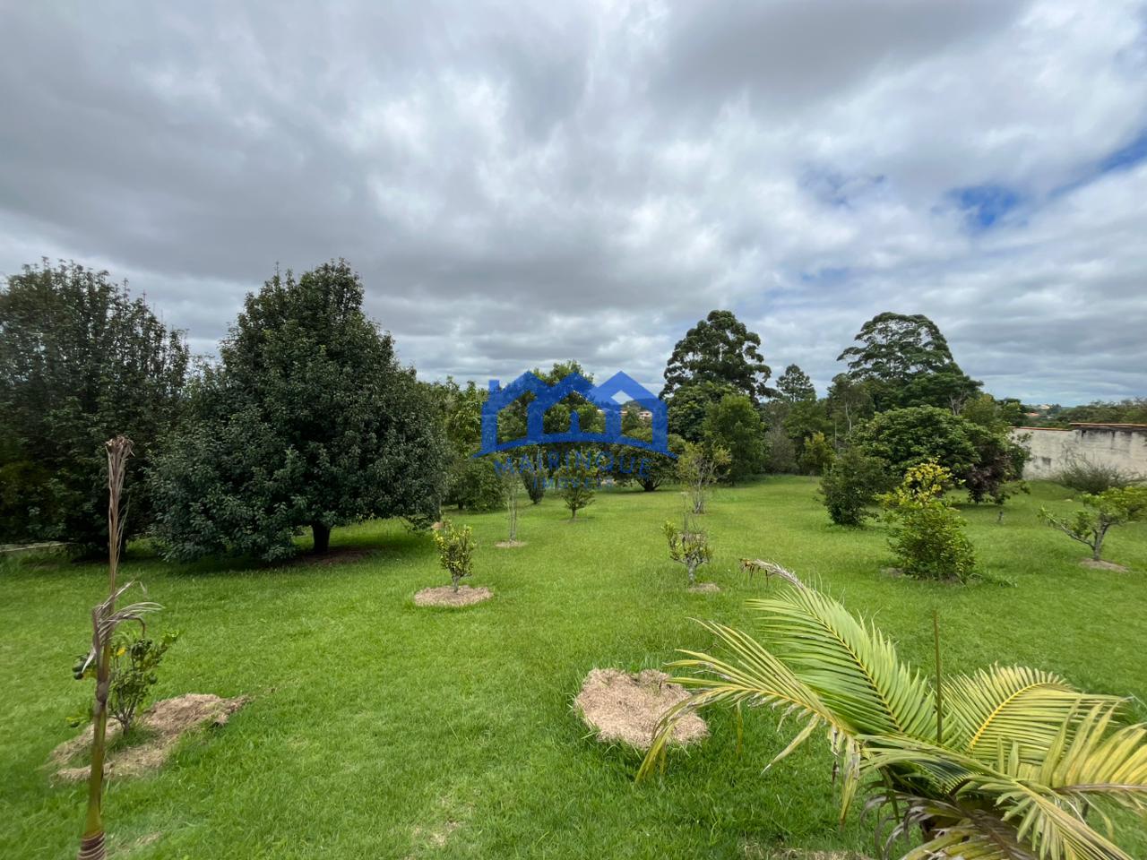 WhatsApp Image 2026-03-04 at 14.49.34