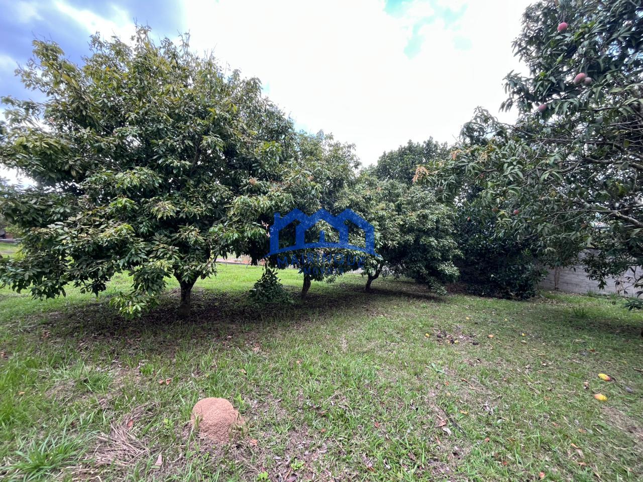 WhatsApp Image 2026-03-09 at 11.24.54