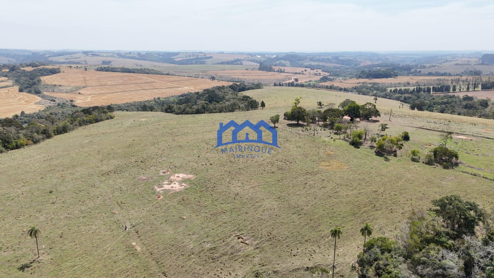 WhatsApp Image 2026-03-10 at 14.43.51 (1)