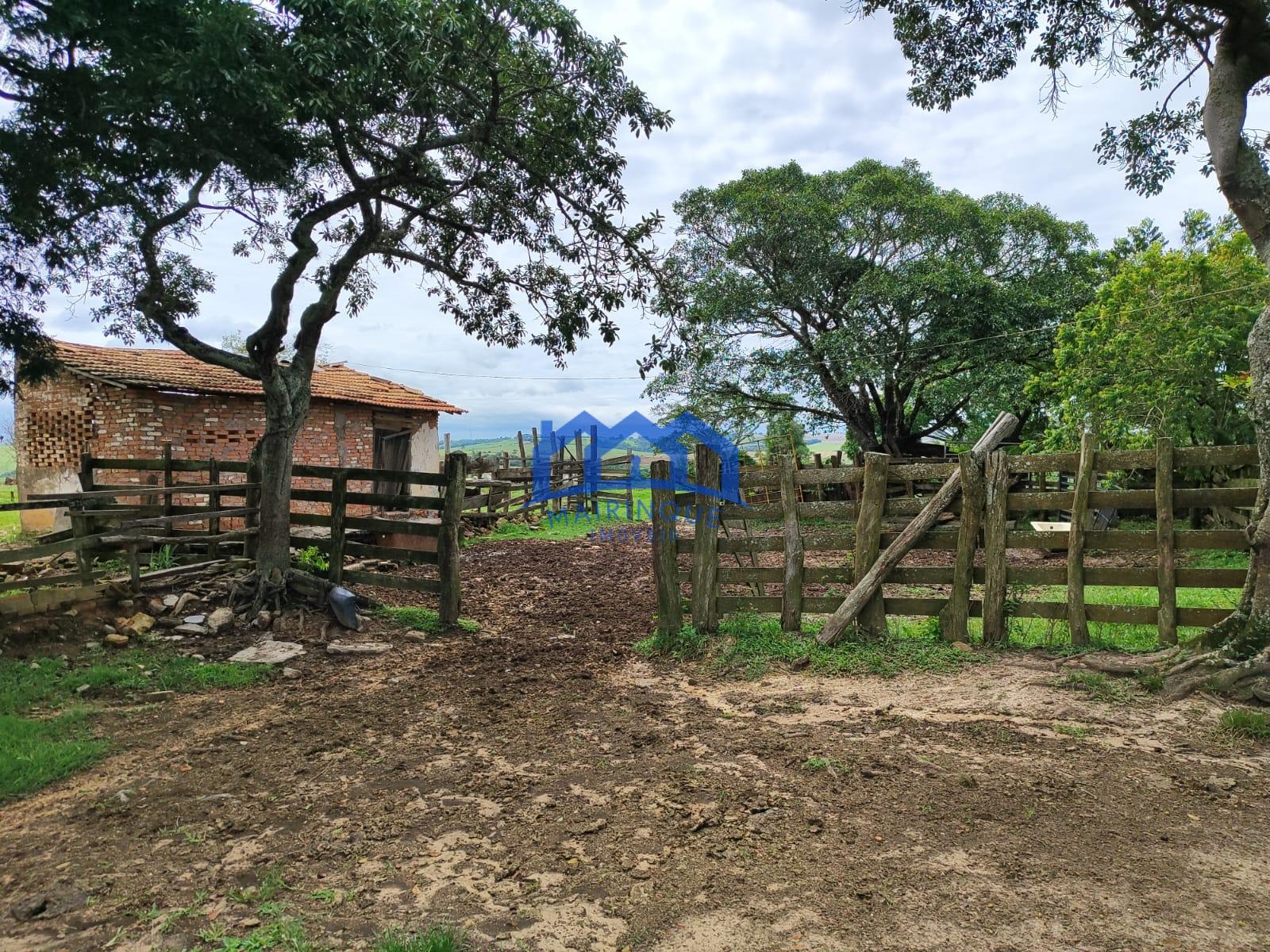 WhatsApp Image 2026-03-10 at 14.43.53