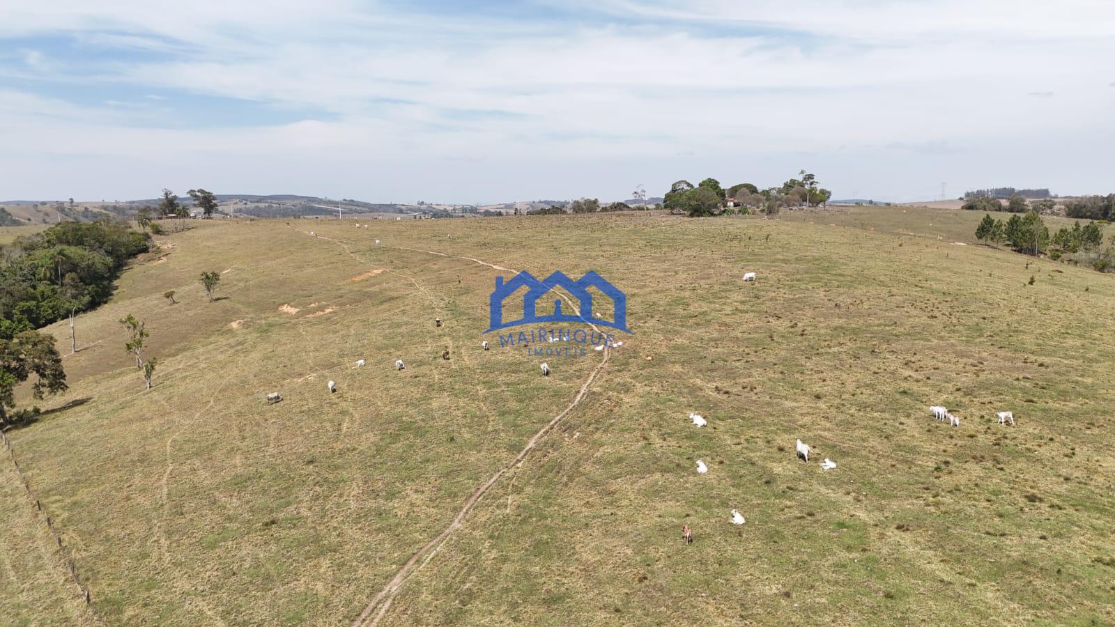 WhatsApp Image 2026-03-10 at 14.43.54 (1)