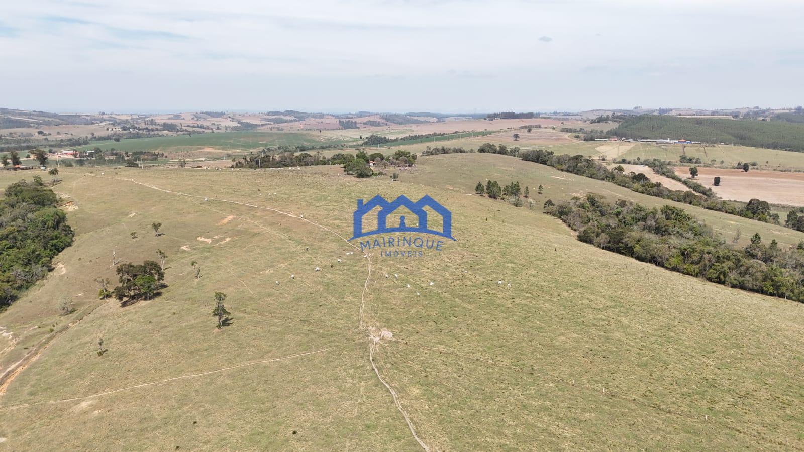 WhatsApp Image 2026-03-10 at 14.43.54 (3)