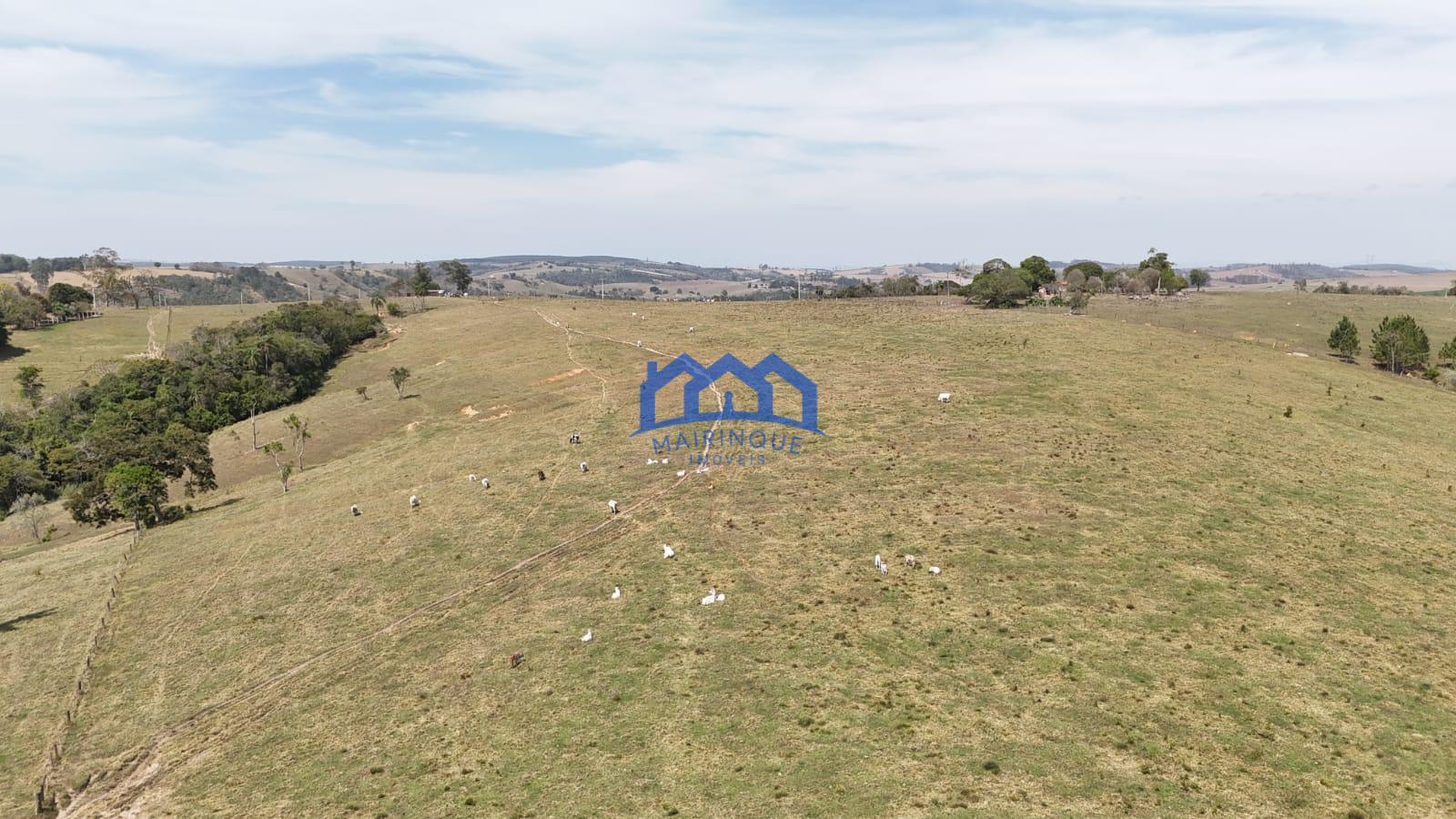 WhatsApp Image 2026-03-10 at 14.43.54 (4)