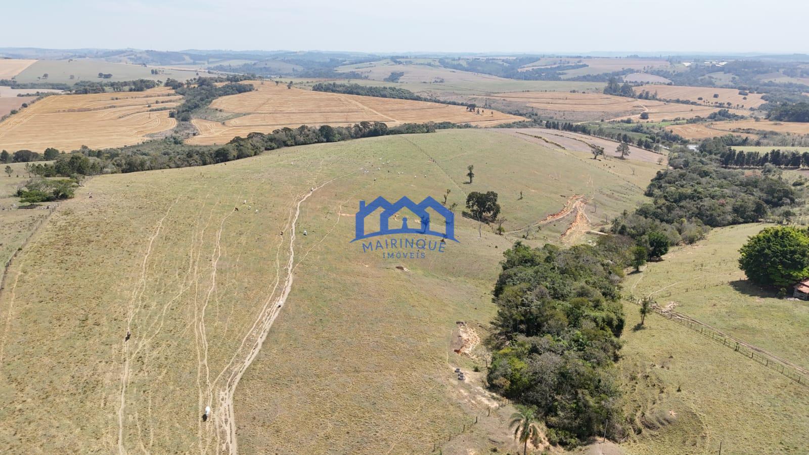 WhatsApp Image 2026-03-10 at 14.43.55 (3)