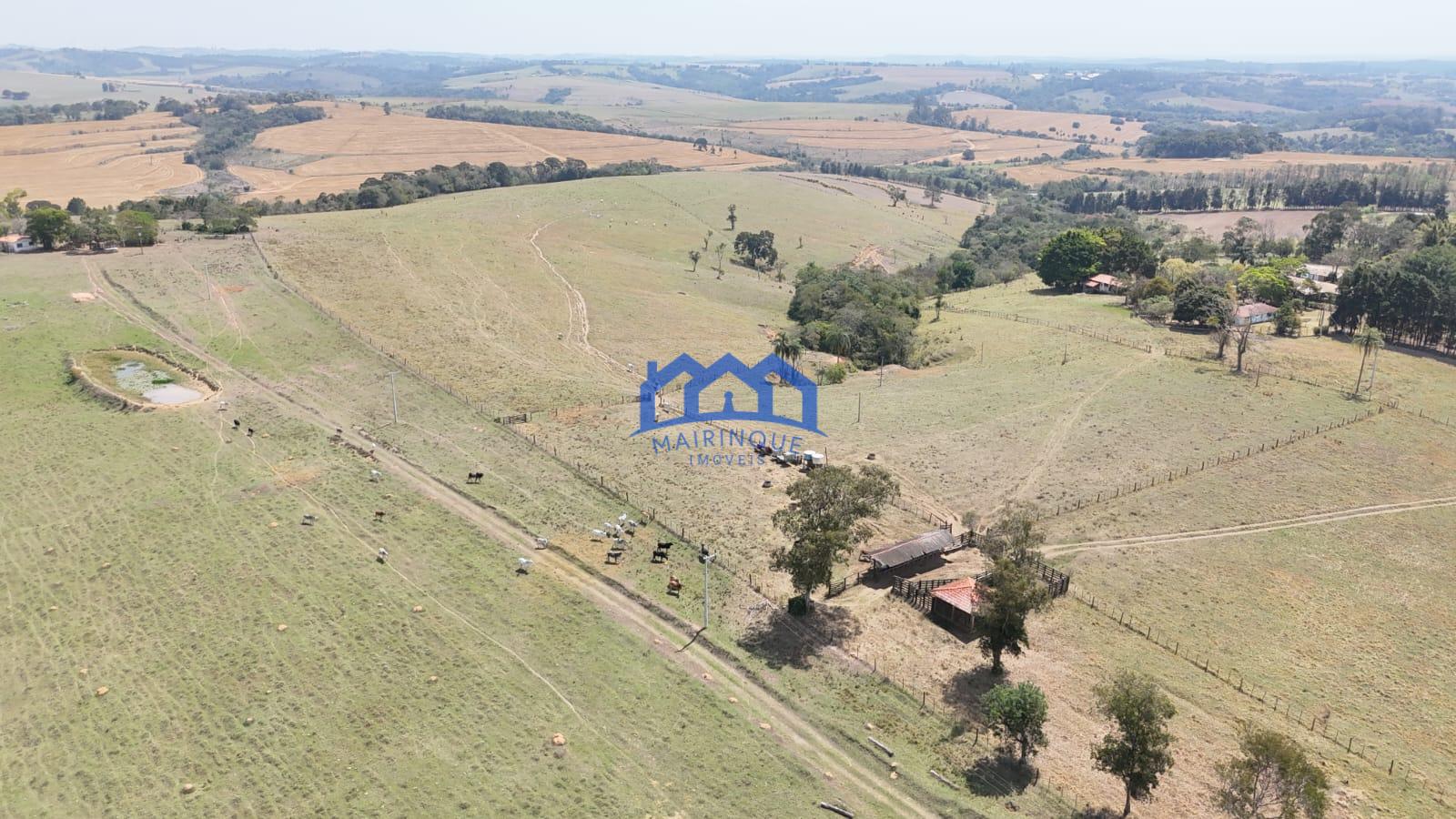 WhatsApp Image 2026-03-10 at 14.43.55 (4)