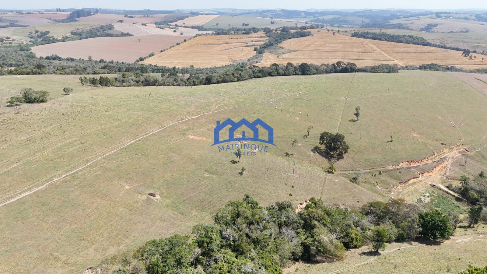 WhatsApp Image 2026-03-10 at 14.43.56