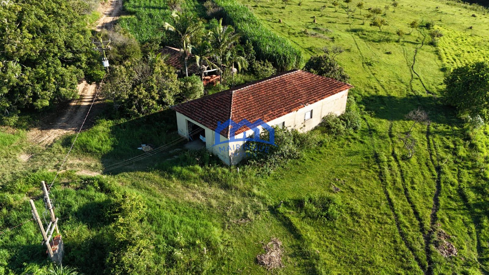 WhatsApp Image 2026-03-12 at 16.47.16