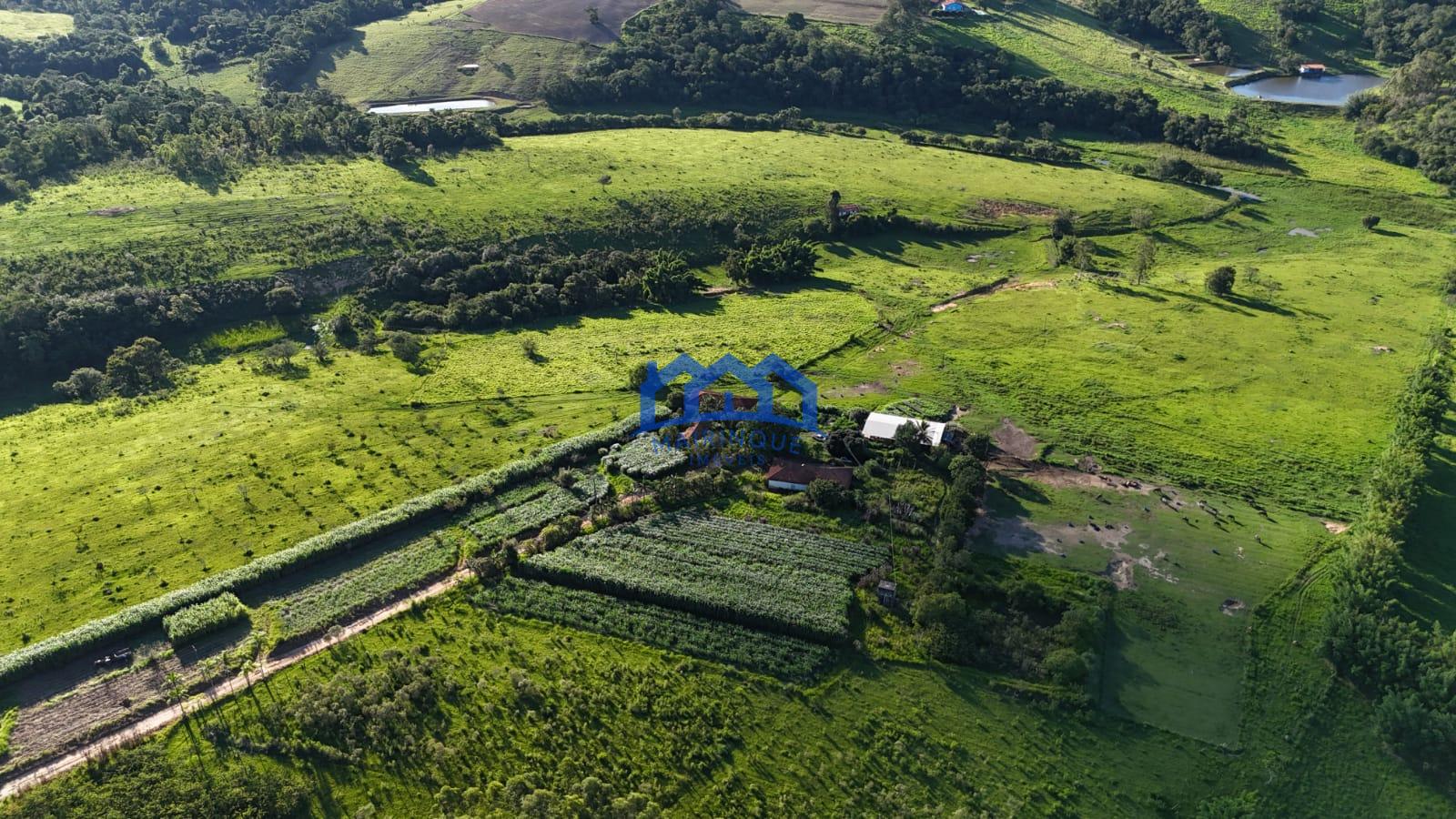 WhatsApp Image 2026-03-12 at 16.47.17