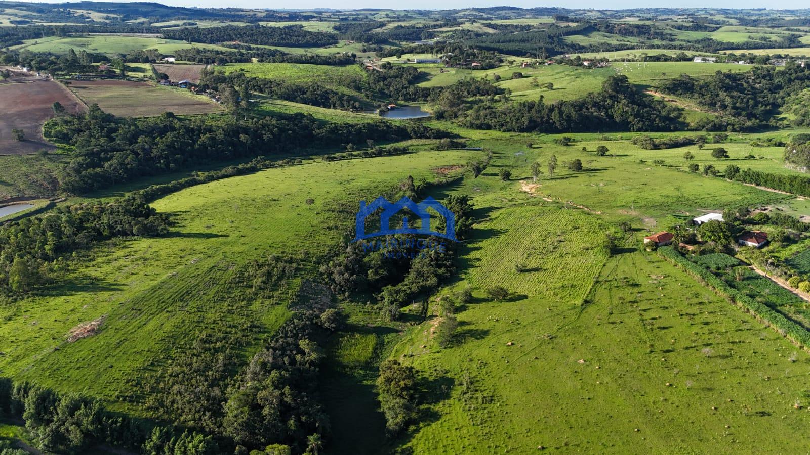 WhatsApp Image 2026-03-12 at 16.47.18