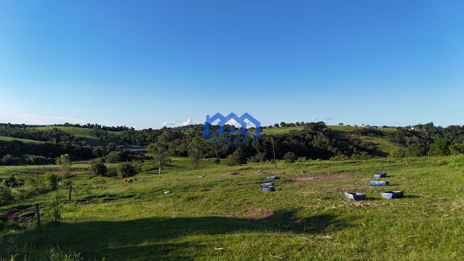 WhatsApp Image 2026-03-12 at 16.47.19