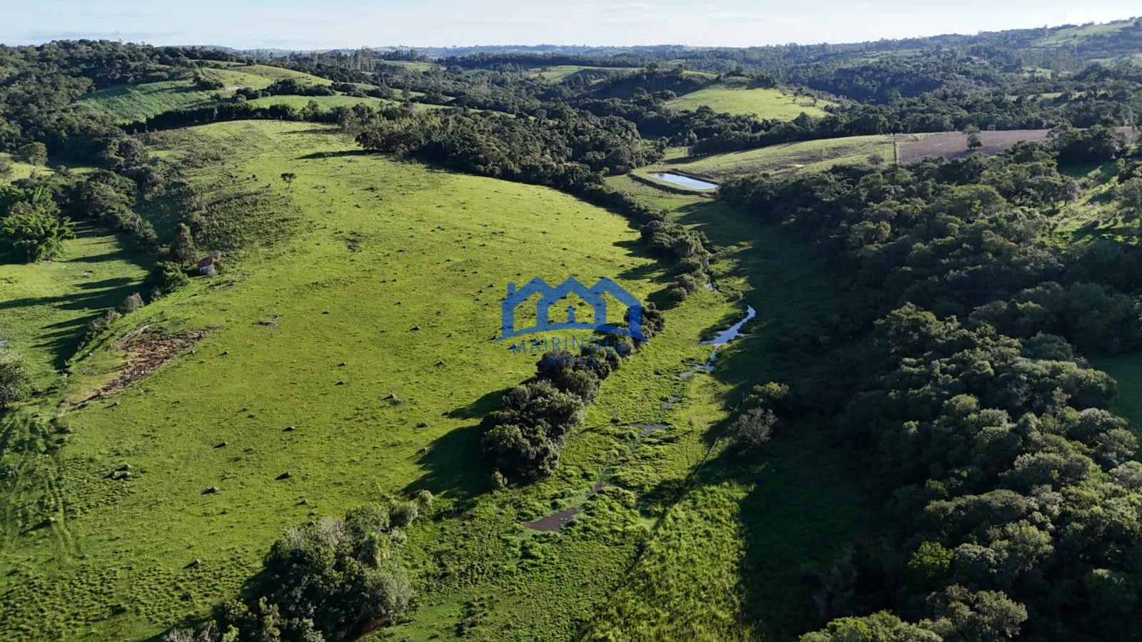 WhatsApp Image 2026-03-12 at 16.47.20 (2)