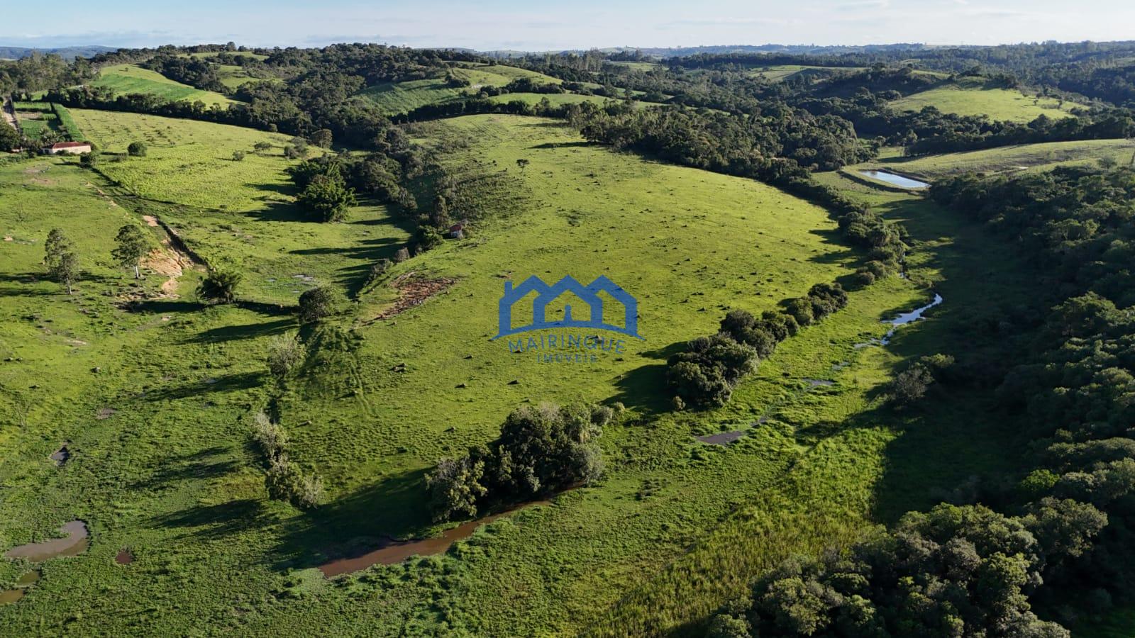 WhatsApp Image 2026-03-12 at 16.47.21 (2)