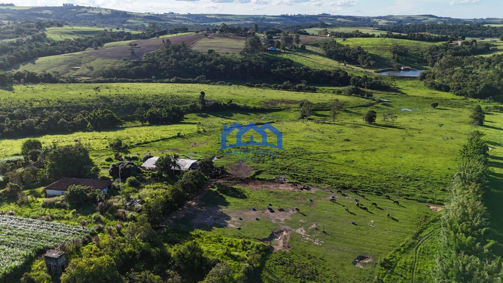 WhatsApp Image 2026-03-12 at 16.47.22 (1)