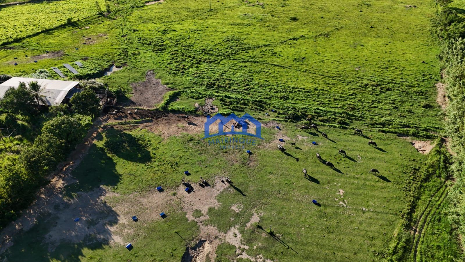 WhatsApp Image 2026-03-12 at 16.47.22