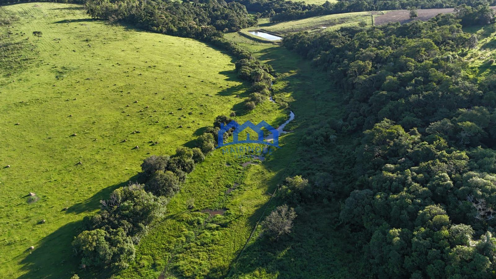 WhatsApp Image 2026-03-12 at 16.47.23 (2)