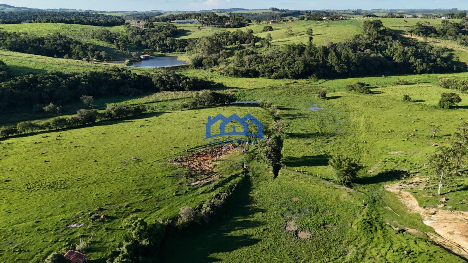 WhatsApp Image 2026-03-12 at 16.47.23