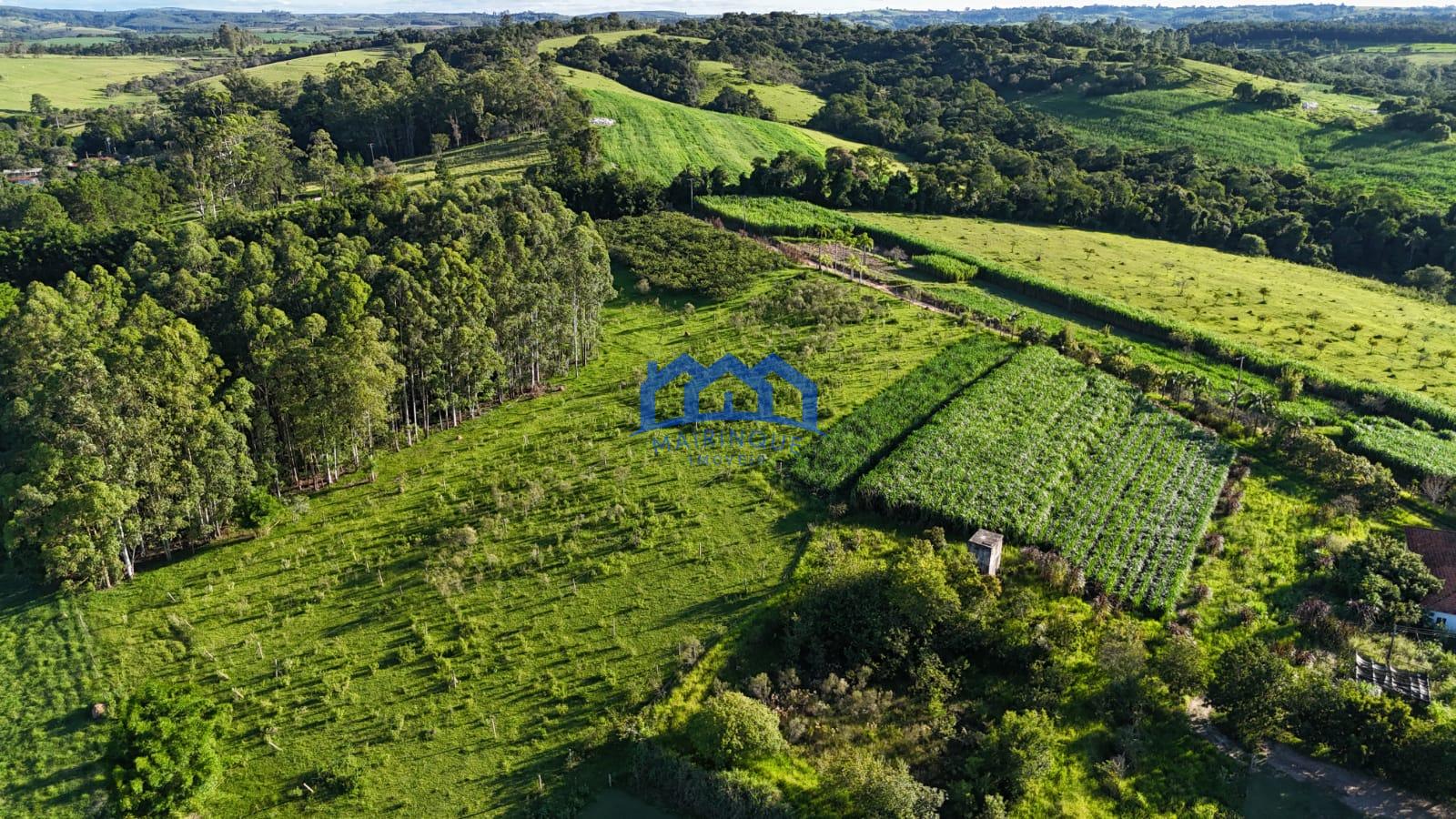 WhatsApp Image 2026-03-12 at 16.47.24