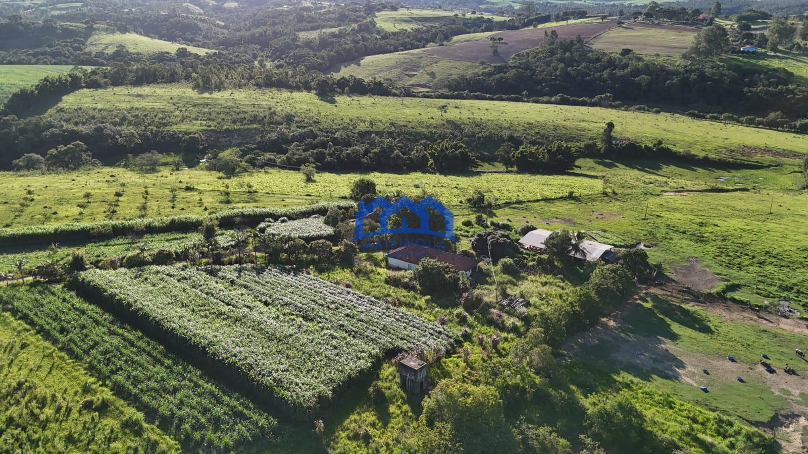 WhatsApp Image 2026-03-12 at 16.47.25