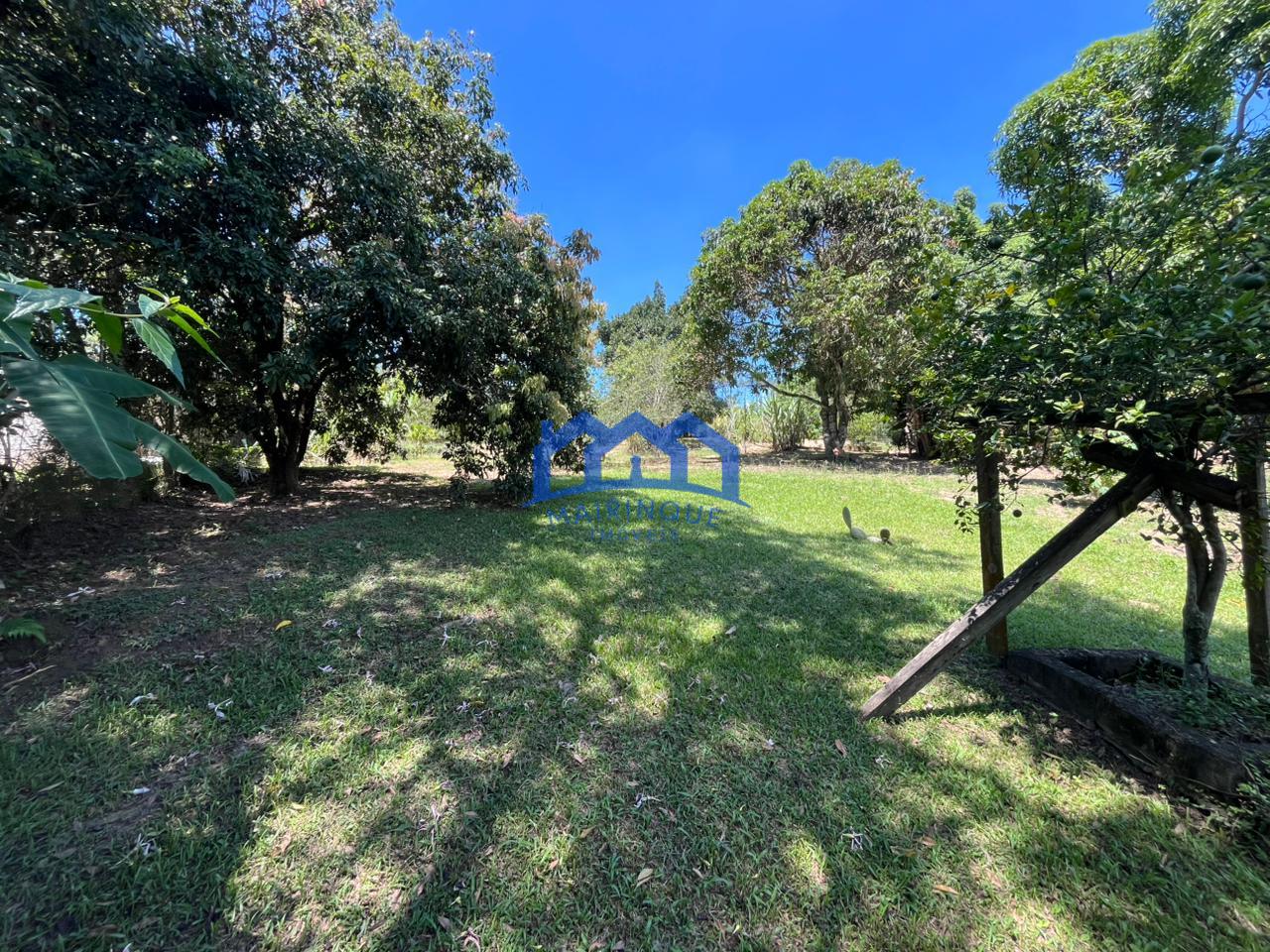 WhatsApp Image 2026-03-16 at 14.50.45 (1)