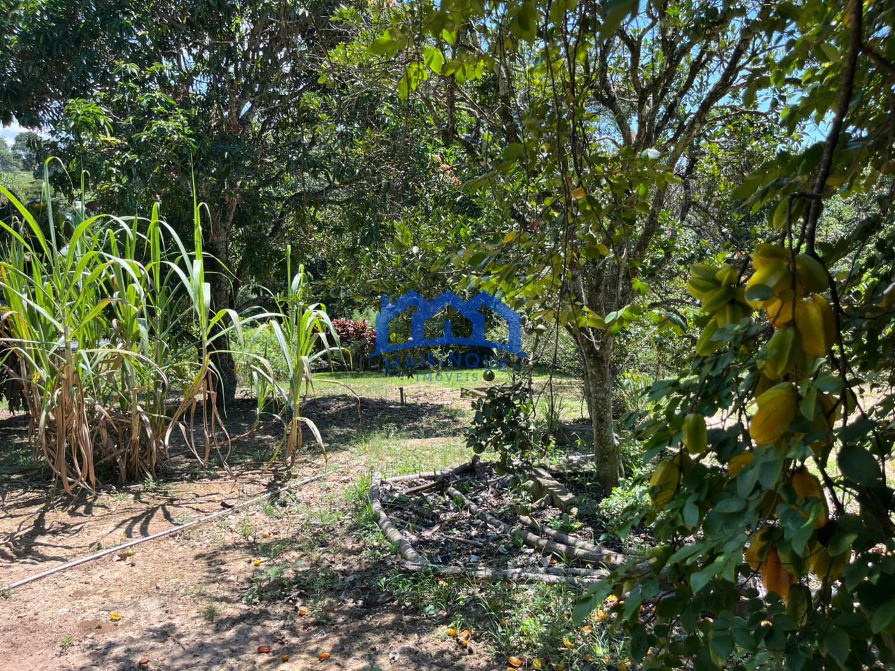 WhatsApp Image 2026-03-16 at 14.50.45 (3)