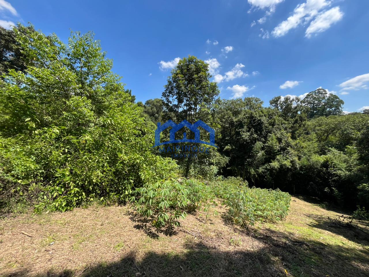 WhatsApp Image 2026-03-16 at 14.50.45